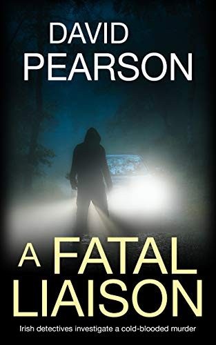 A Fatal Liaison: Irish detectives investigate a cold-blooded murder (The Dublin Homicides Book 2)