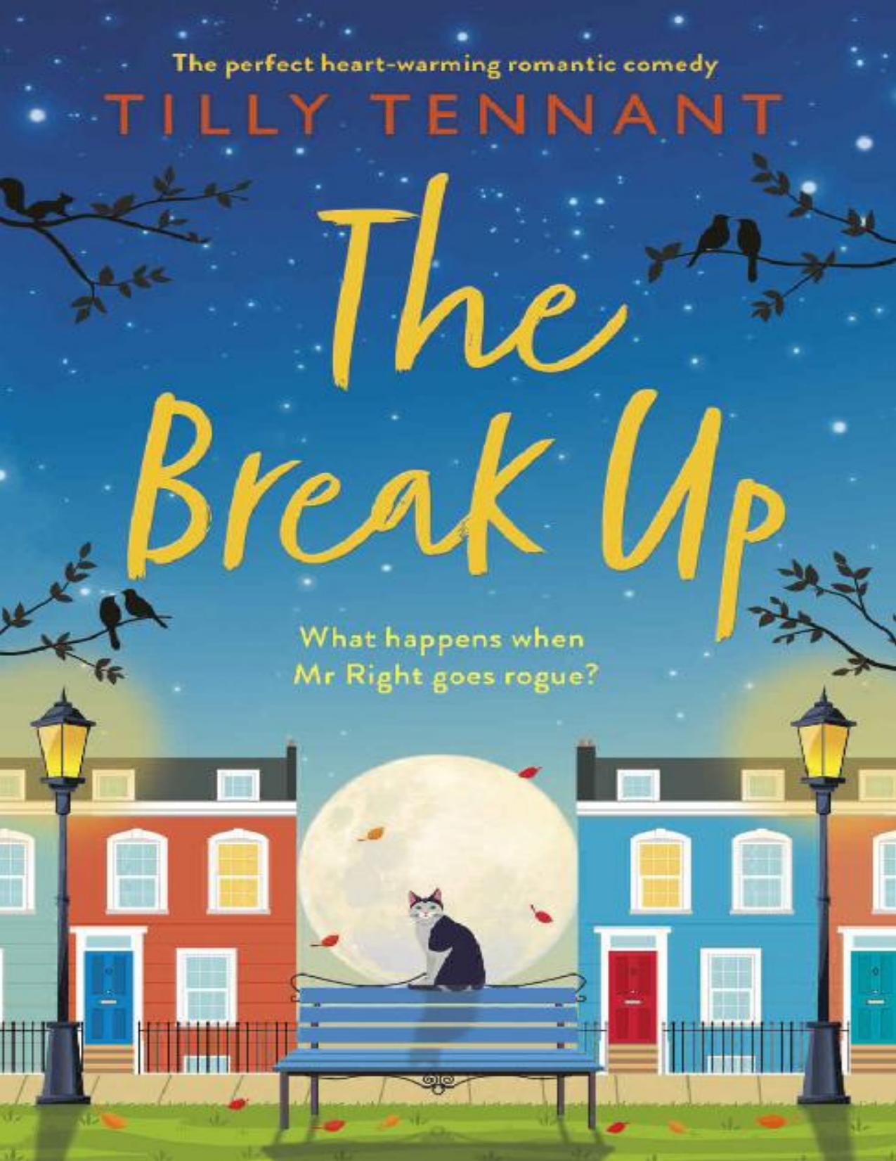 The Break Up: The perfect heartwarming romantic comedy