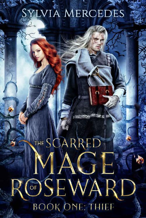 Thief (The Scarred Mage of Roseward Book 1)