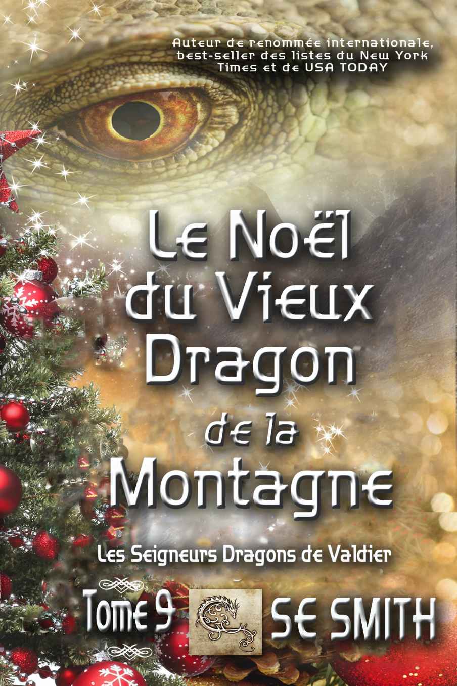 Les Seigneurs Dragons de Valdier T09 - Le Noël du Vieux Dragon de la Montagne