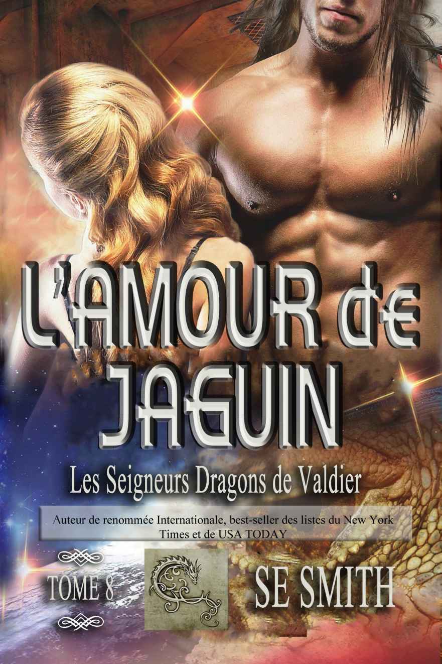 Les Seigneurs Dragons de Valdier T08 - L’amour de Jaguin