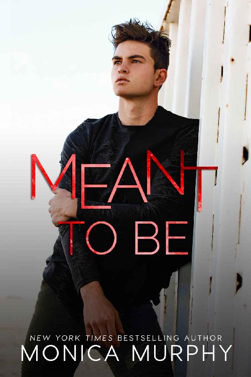 Meant To Be (The Callahans Book 4)