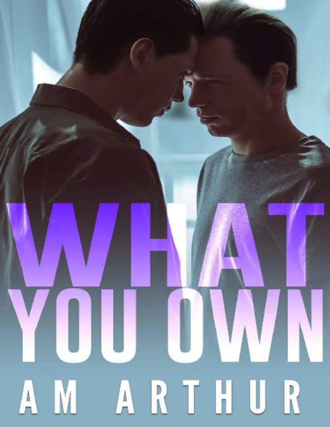 What You Own: A Second-Chance Gay Romance