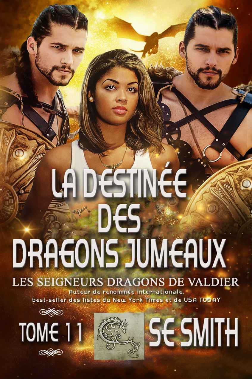 Les Seigneurs Dragons de Valdier T11 - La destinée des dragons jumeaux