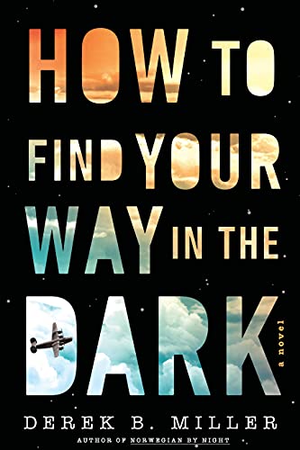 How to Find Your Way in the Dark (A Sheldon Horowitz Novel Book 1)