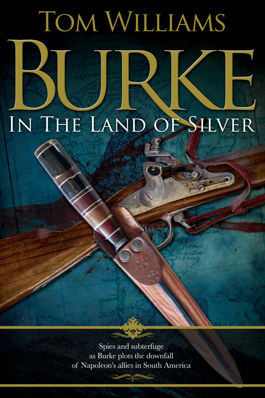 Burke in the Land of Silver