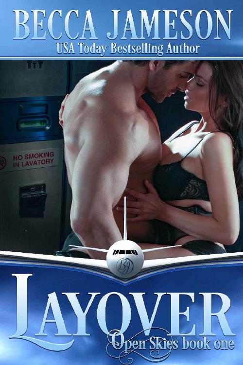 Layover (Open Skies Book 1)