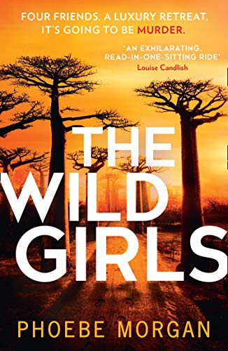 The Wild Girls: From the author of gripping books like The Babysitter comes the most exhilarating and escapist psychological crime thriller of 2021!