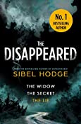 The Disappeared: a gripping mystery thriller