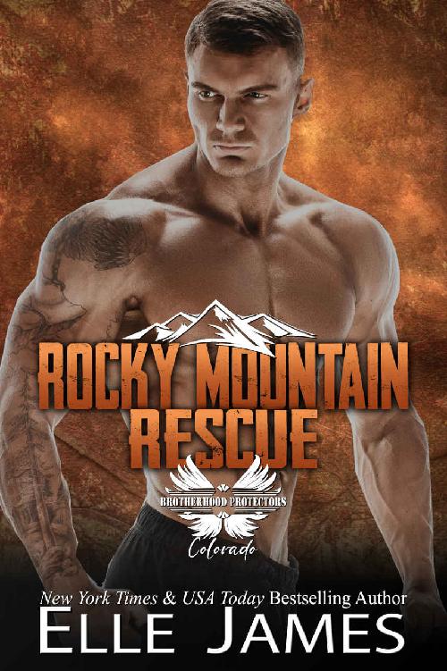 Rocky Mountain Rescue (Brotherhood Protectors Colorado Book 2)