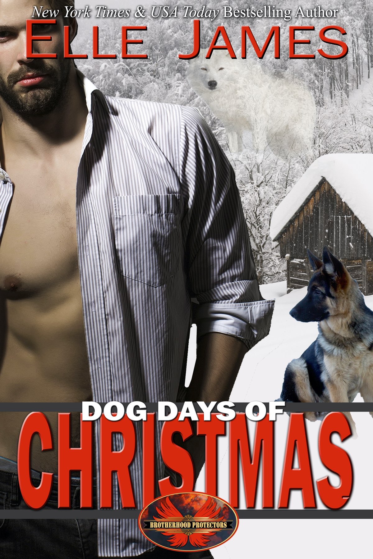 Dog Days of Christmas (Brotherhood Protectors Book 16)