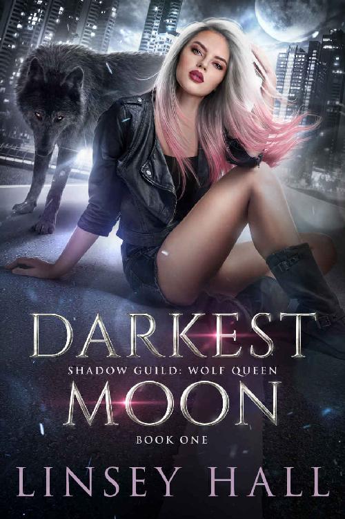 Darkest Moon (Shadow Guild: Wolf Queen Book 1)