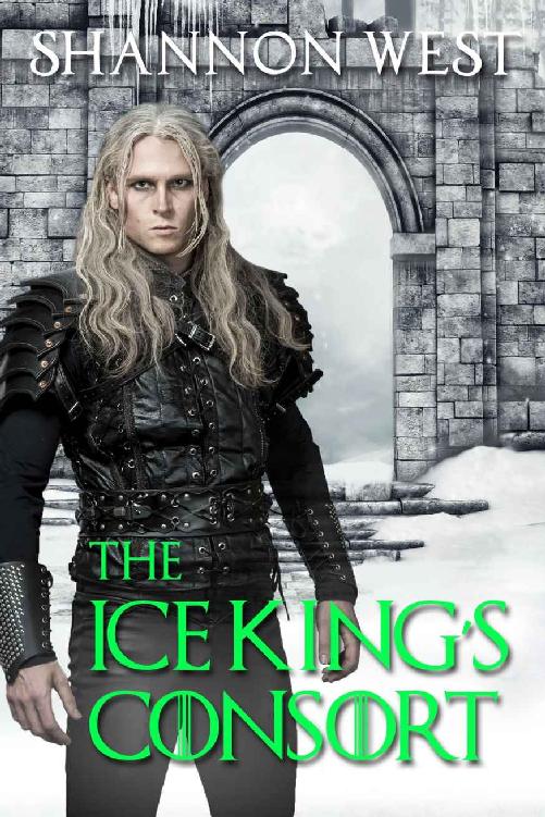 The Ice King's Consort