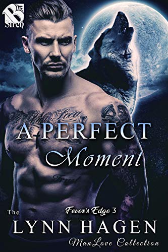 A Perfect Moment [Fever's Edge 3] (The Lynn Hagen ManLove Collection)