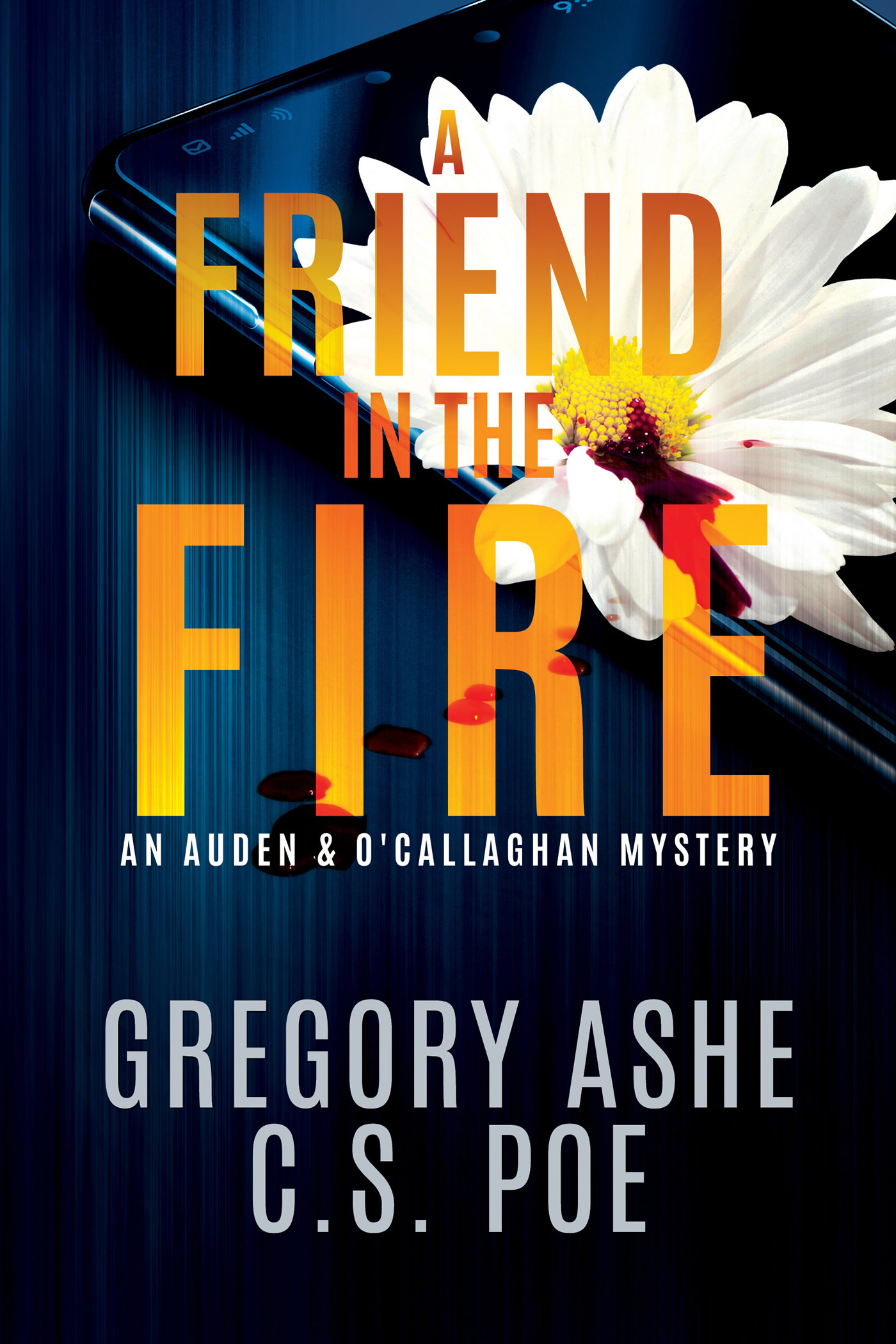 A Friend in the Fire (Auden & O’Callaghan Mystery #2)