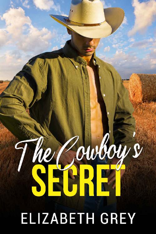 The Cowboy's Secret: Secret Life Western Billionaire Romance (The Wentworth Cowboy Billionaire Series)