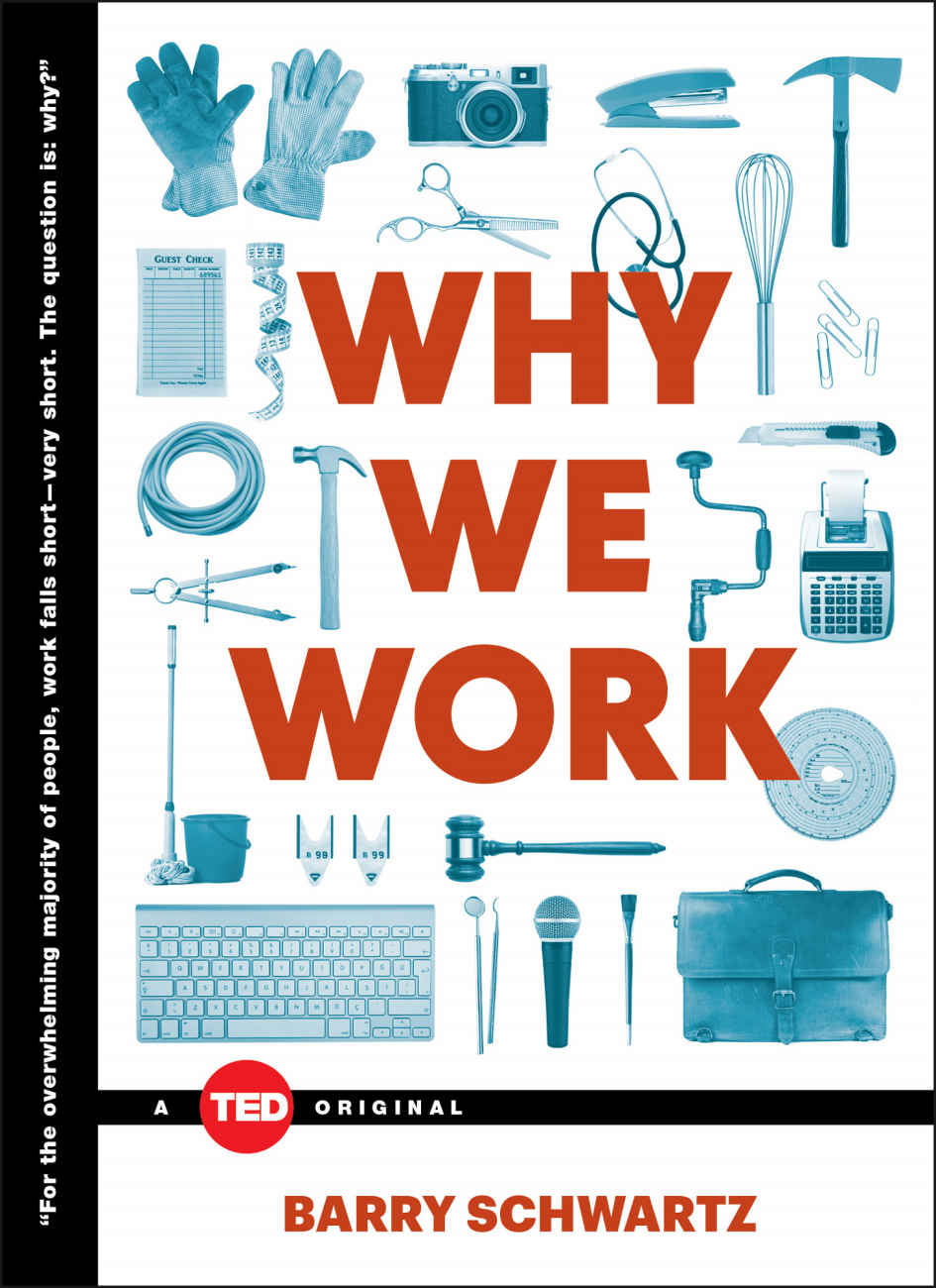 Why We Work (TED Books)