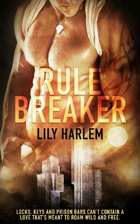 Rule Breaker: Forbidden Love Romance