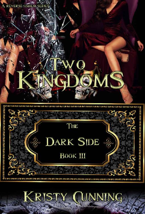 Two Kingdoms (The Dark Side Book 3)